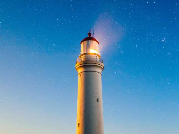 Picnic công nghệ 2026