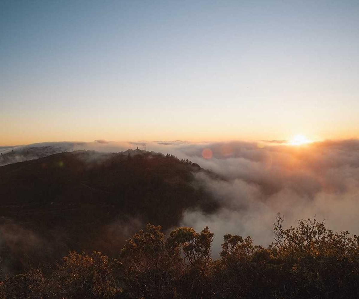 Portfolio Highlight 2026