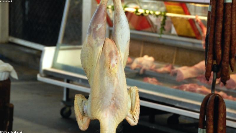 Nông sản hữu cơ tươi sạch