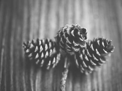 Công nghệ sinh học 2026