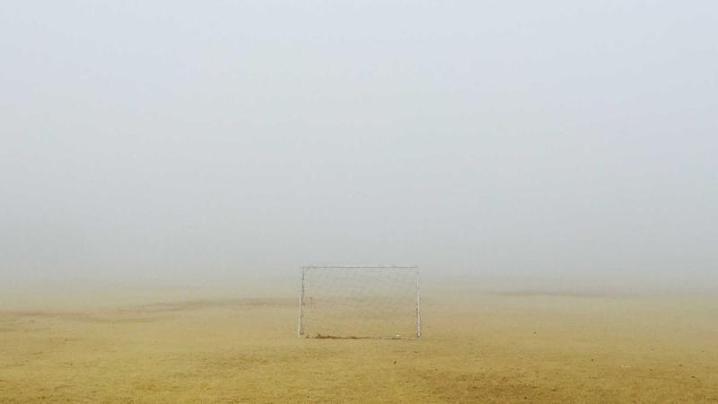 Grooming và chăm sóc y tế thú cưng