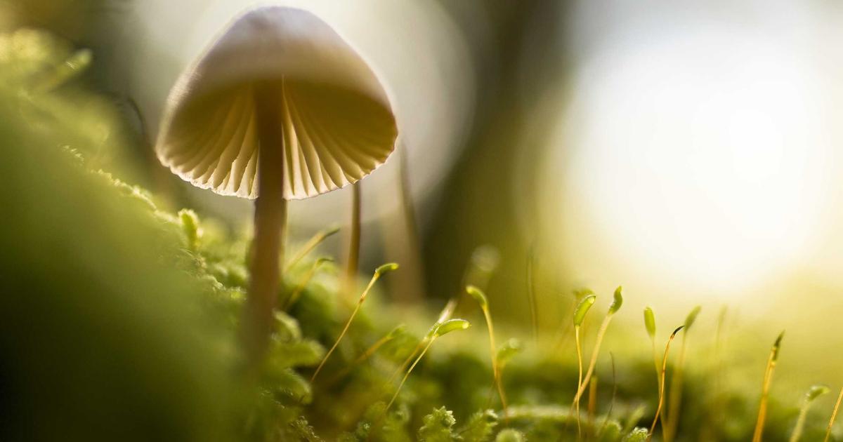 Hướng dẫn thiết lập backup tự động với StreamVault để bảo vệ dữ liệu tuyệt đối