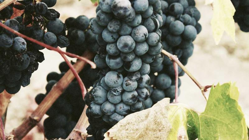 Khách hàng tại Trần Anh Beautiful