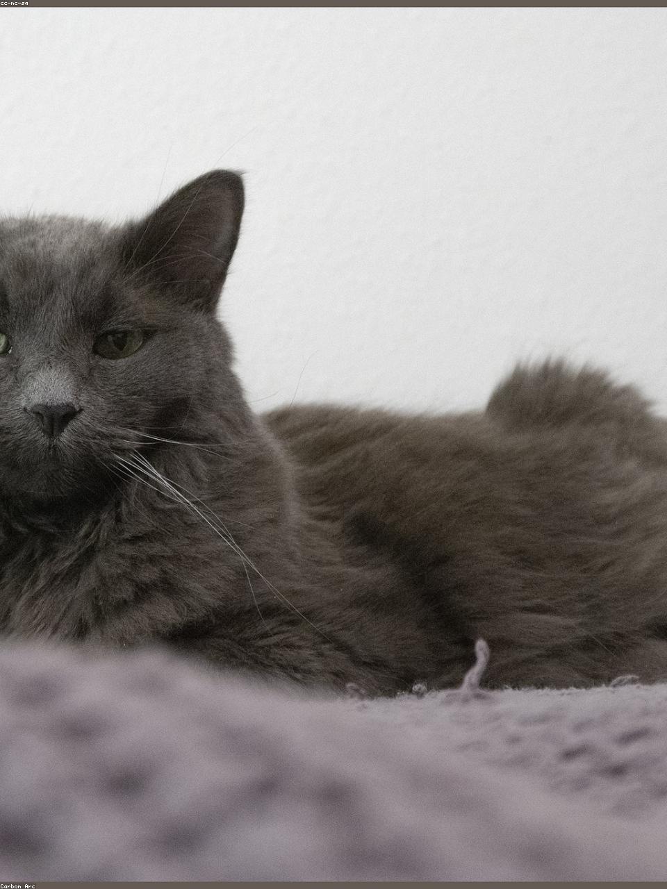 Final lookbook result