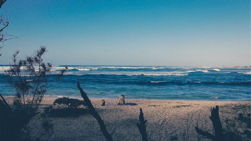 Trang trí phòng nấm phát sáng 2026