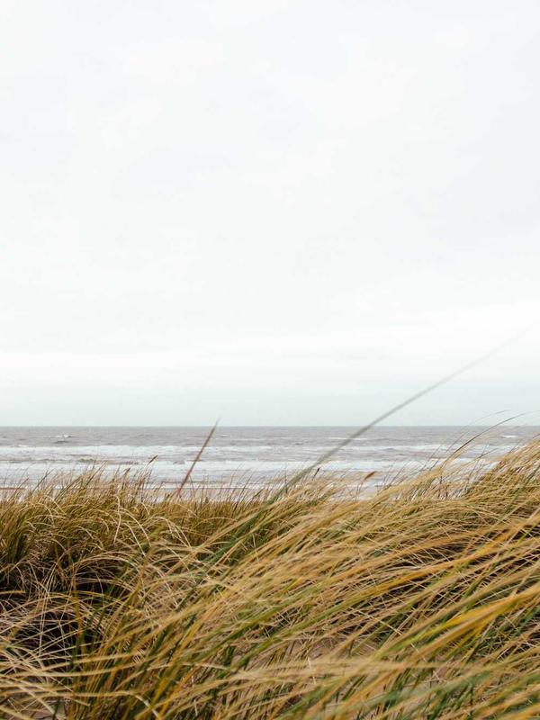 Dell XPS Liquid 2026