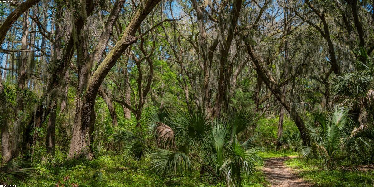 Hành trình thu hoạch mật ong