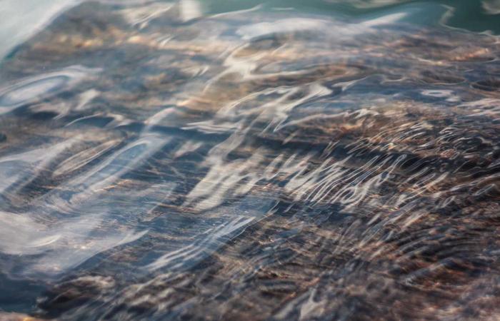 Hệ thống lọc nước sinh học