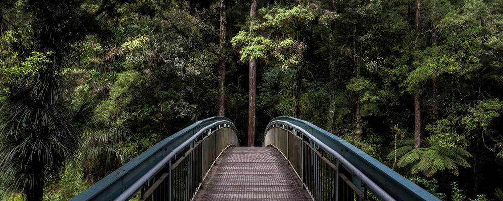 Digital Detox Morning