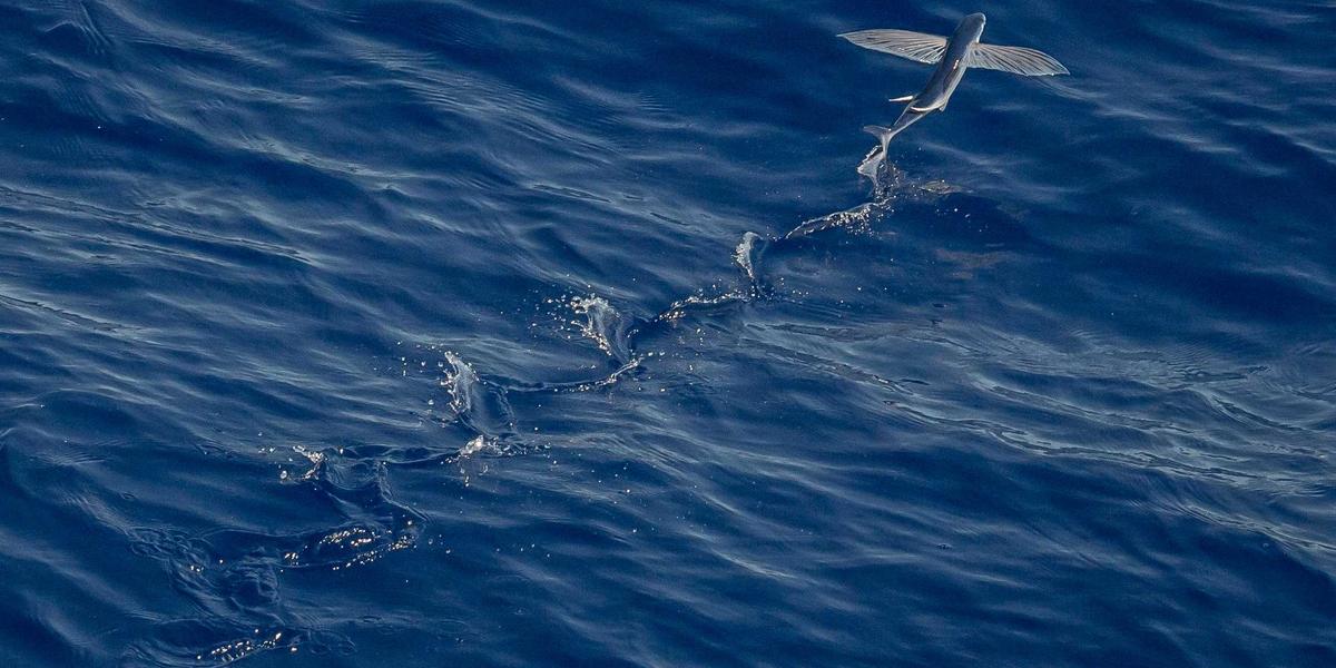 Gian hàng triển lãm Artisan Horology 2026