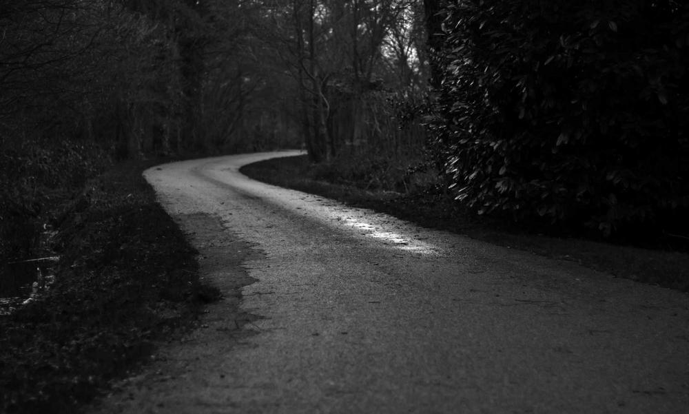 Holographic modeling process 2026