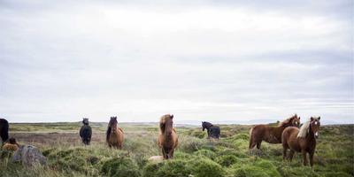 Chất lượng phim flycam 8k