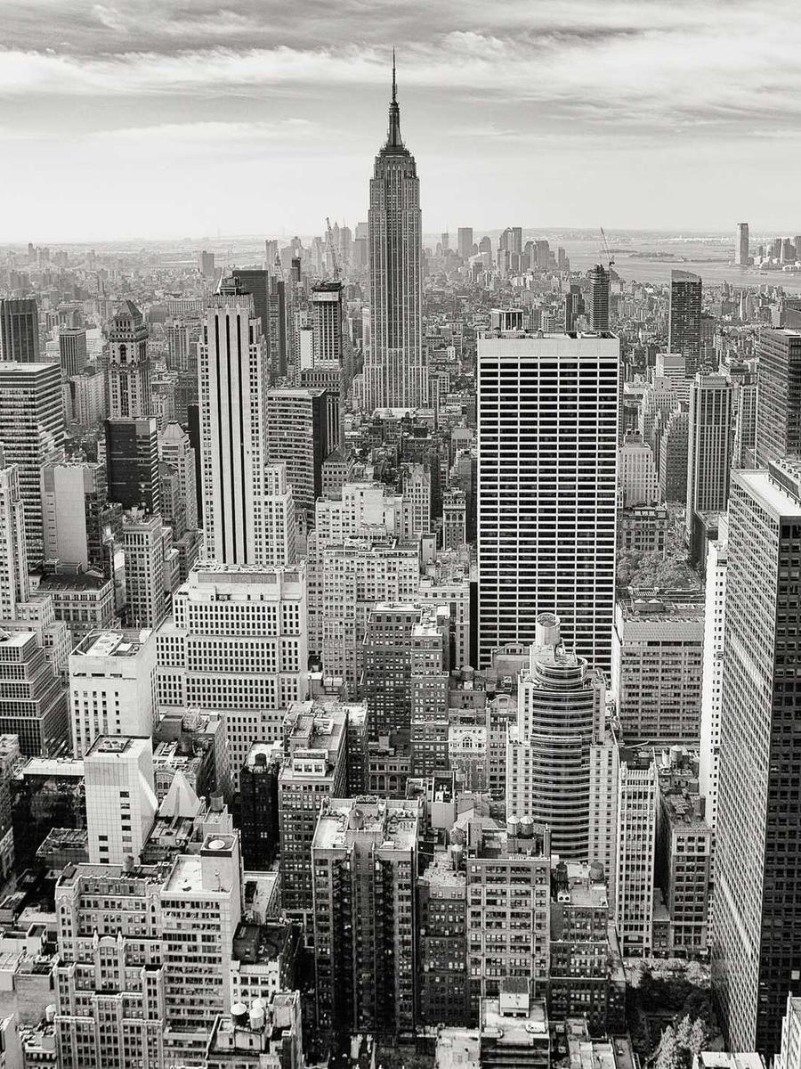 Đường cong tự nhiên 2026