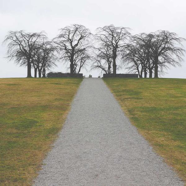 Gen Alpha Aesthetics