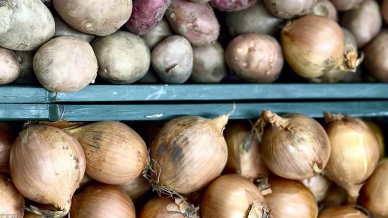 Thực phẩm hữu cơ sạch