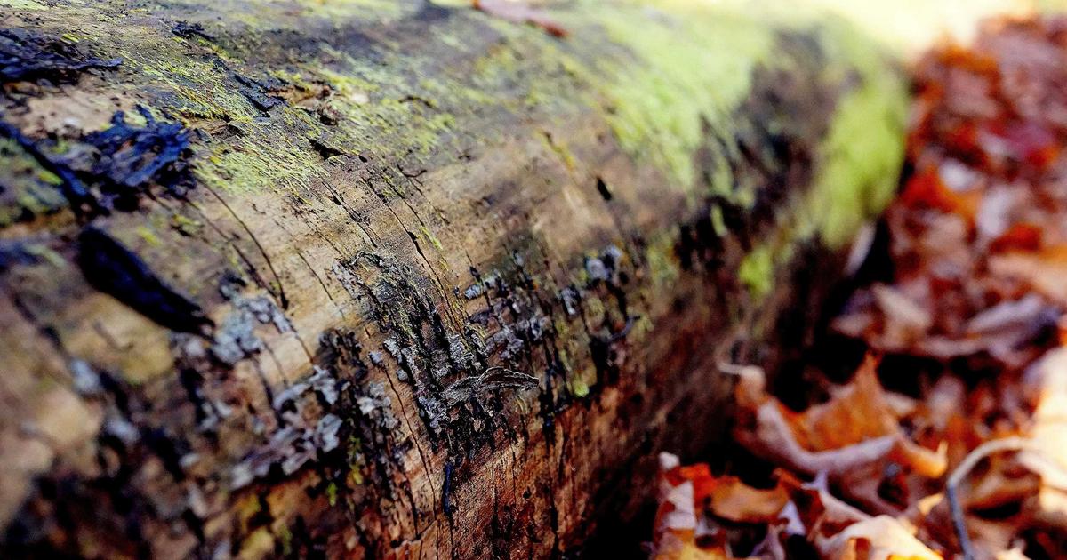 Hướng dẫn kỹ thuật dựng form và chọn chất liệu cho dòng thời trang Ready-to-wear