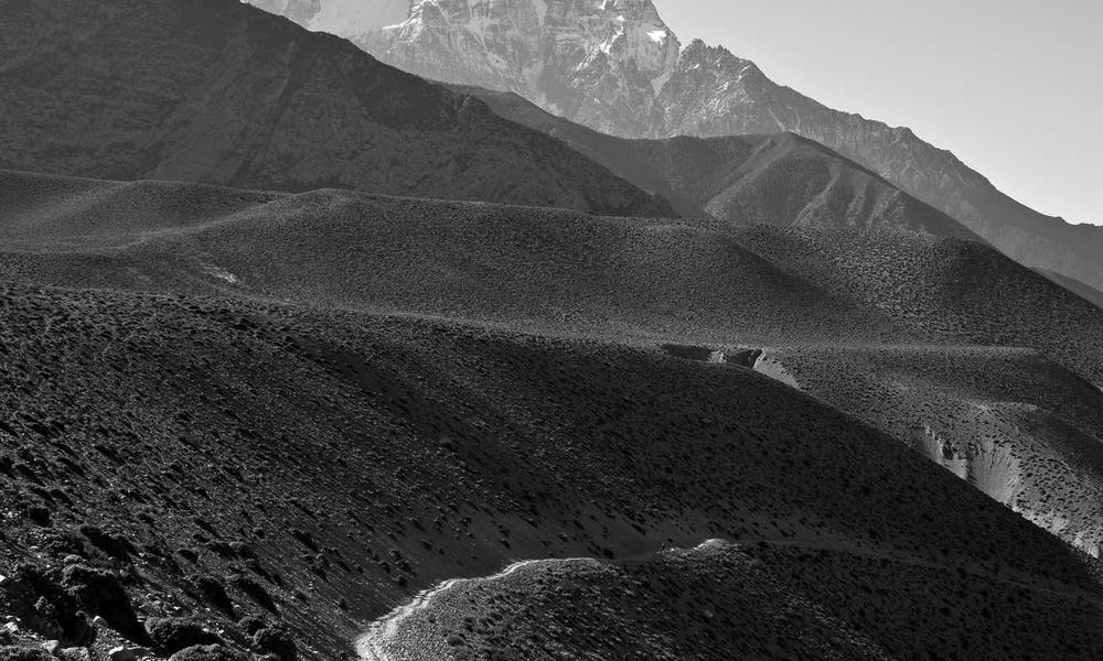 Chi tiết UI thiết kế bởi BrandGens