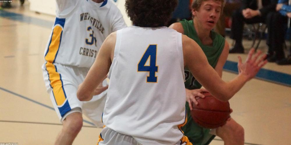 Giỏ trái cây hữu cơ tươi sạch