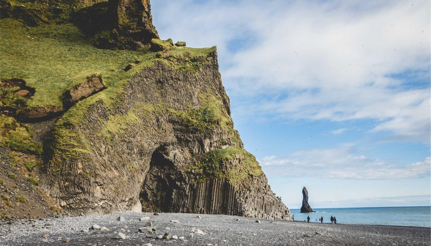 Sakura bloom background