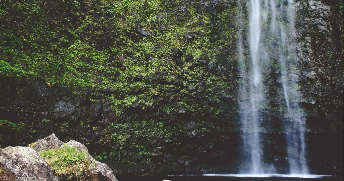 Hướng dẫn 5 bước thiết kế website tự động toàn diện chuyên nghiệp cùng BrandBoost