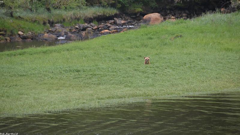 Thiết kế chai nước hoa cao cấp