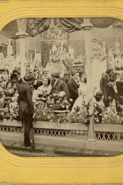 Mai Bao Tran working