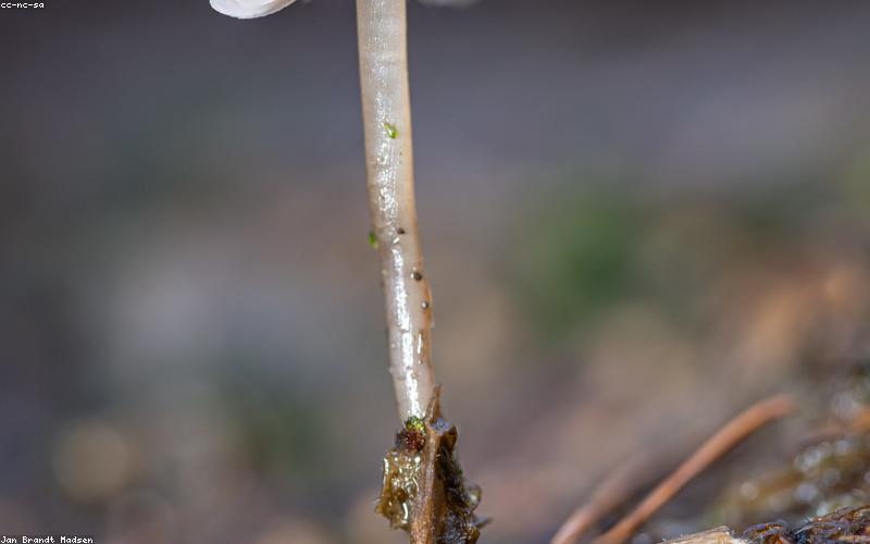 Quá trình dựng video