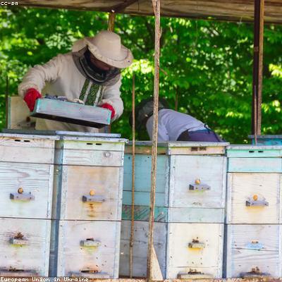 Sáp ong nguyên chất