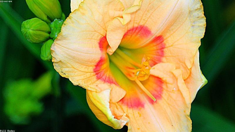 Cha mẹ trẻ mệt mỏi bên con cái