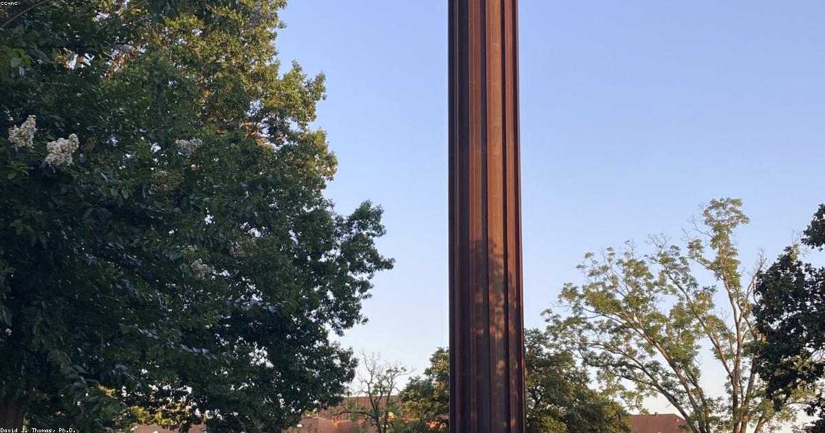 Tại sao trị mụn mãi không khỏi? Những sai lầm phổ biến và lời khuyên từ BS. Trần Thị Hoa