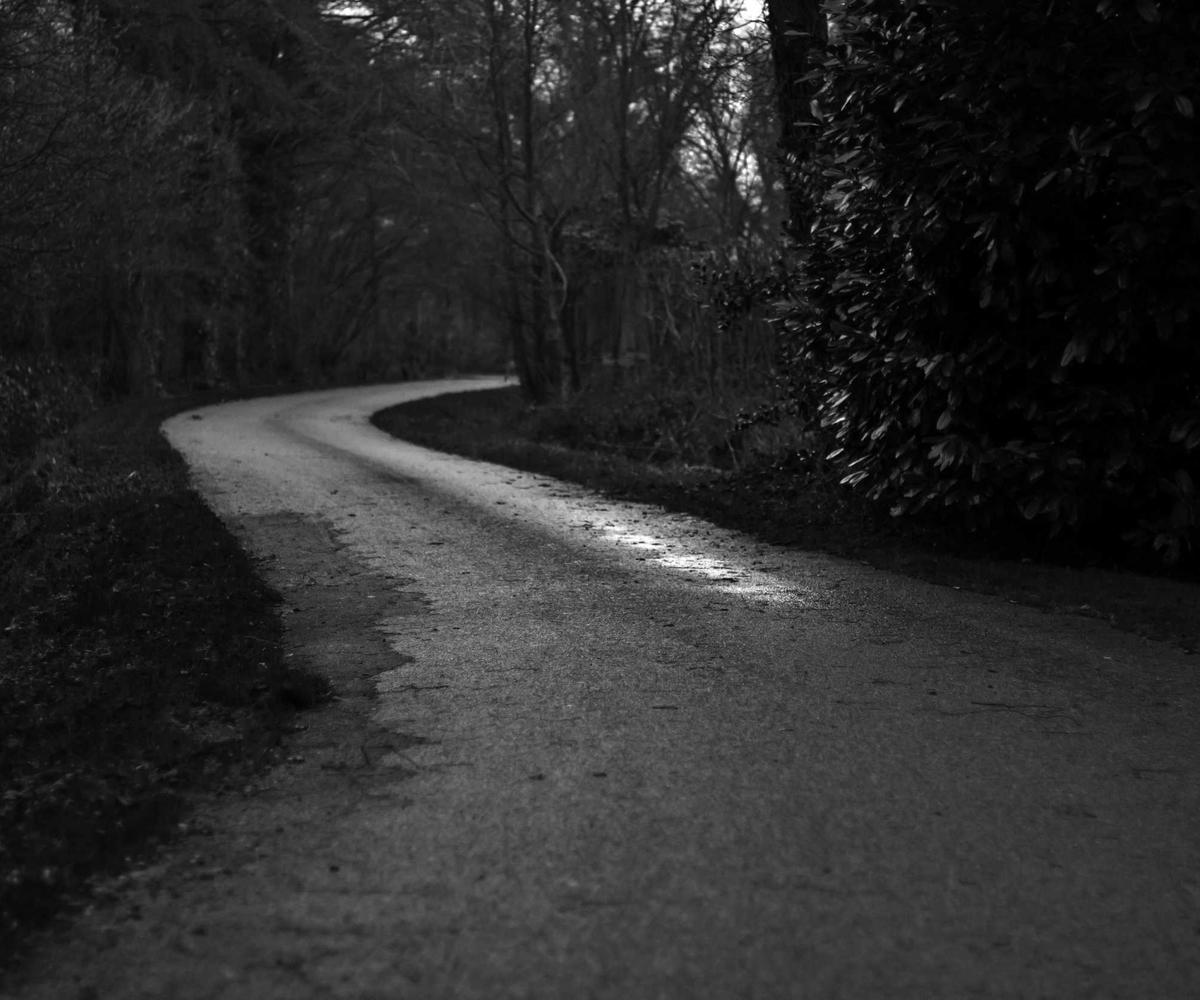 Bio-Dyeing Process 2026