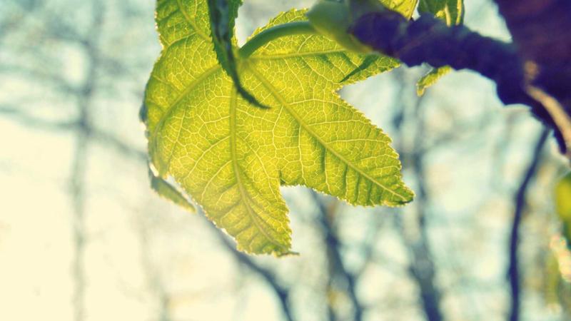 Góc làm việc chill