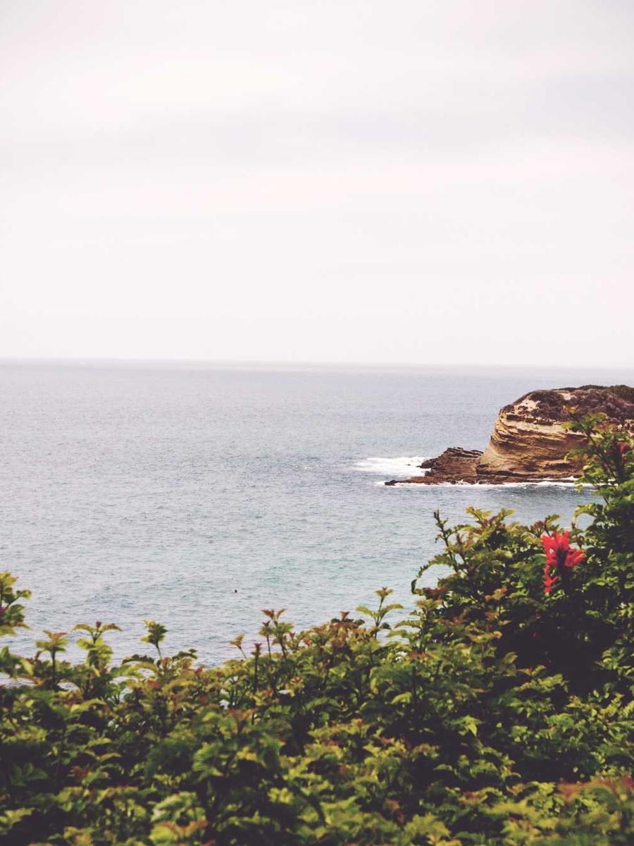 Magazine Editorial 3