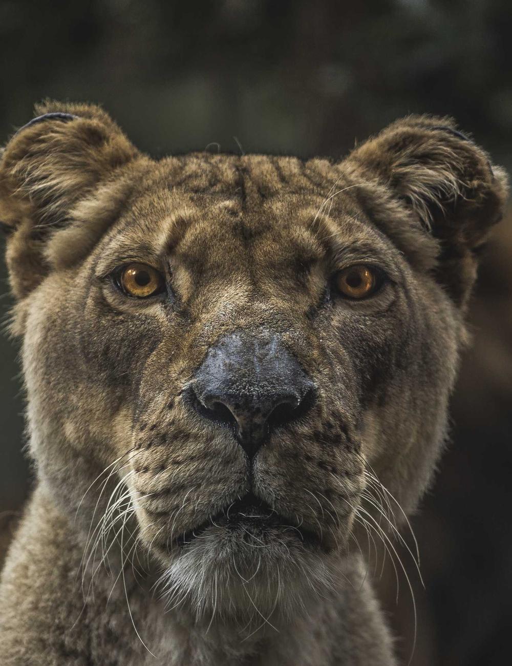 Academic Journey Scholarship