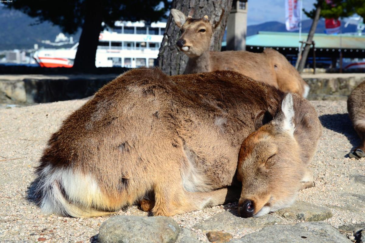 Thiền định trước biển