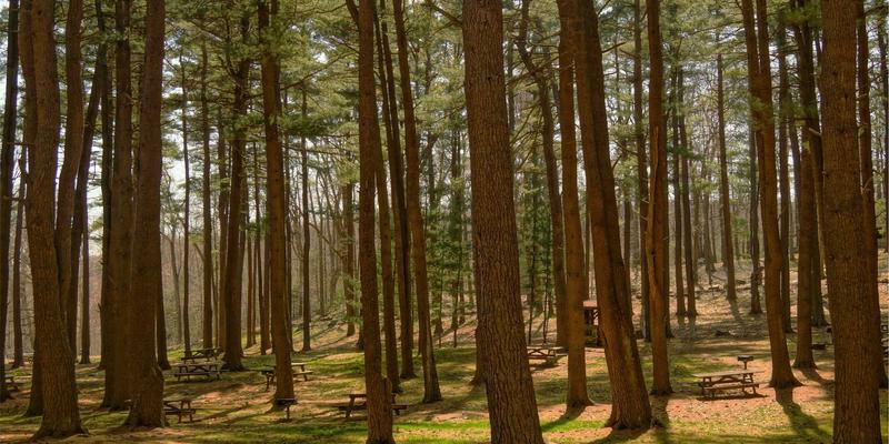 Công nghệ phục hồi và giảm cân 2026