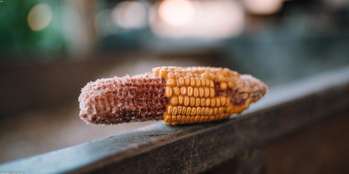 Thành phần dinh dưỡng trong thực phẩm hữu cơ