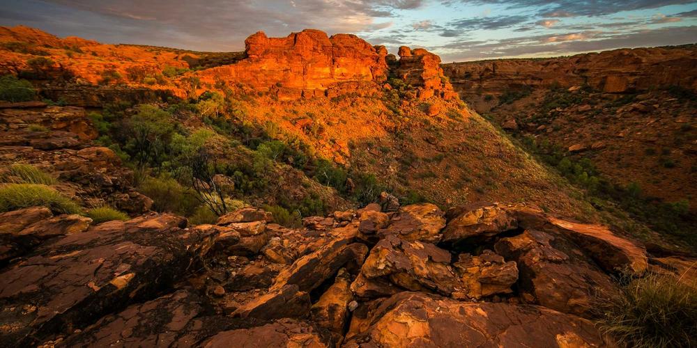 Dinh dưỡng cá nhân hóa