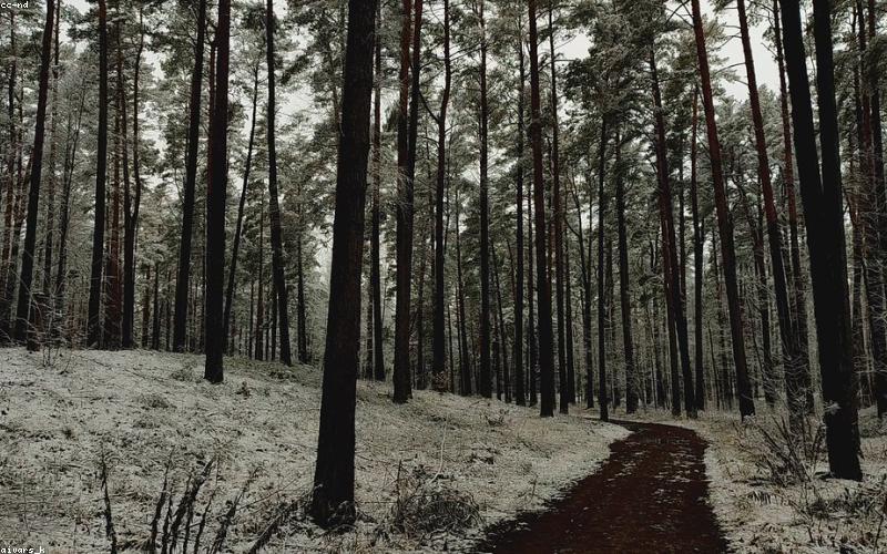 Nhiếp ảnh thiên nhiên Nguyễn Sơn Hải