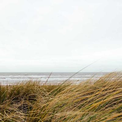 Angten khuếch đại