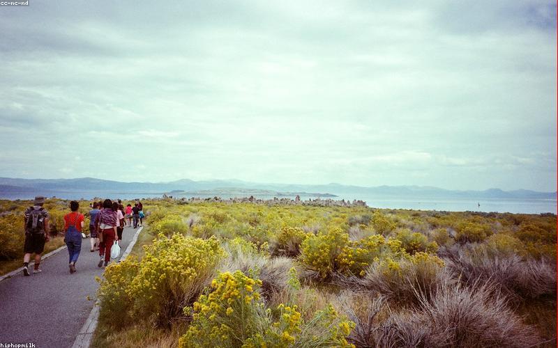 Thảm Yoga cao su tự nhiên cao cấp