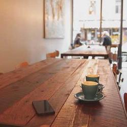 Mèo British Short Hair