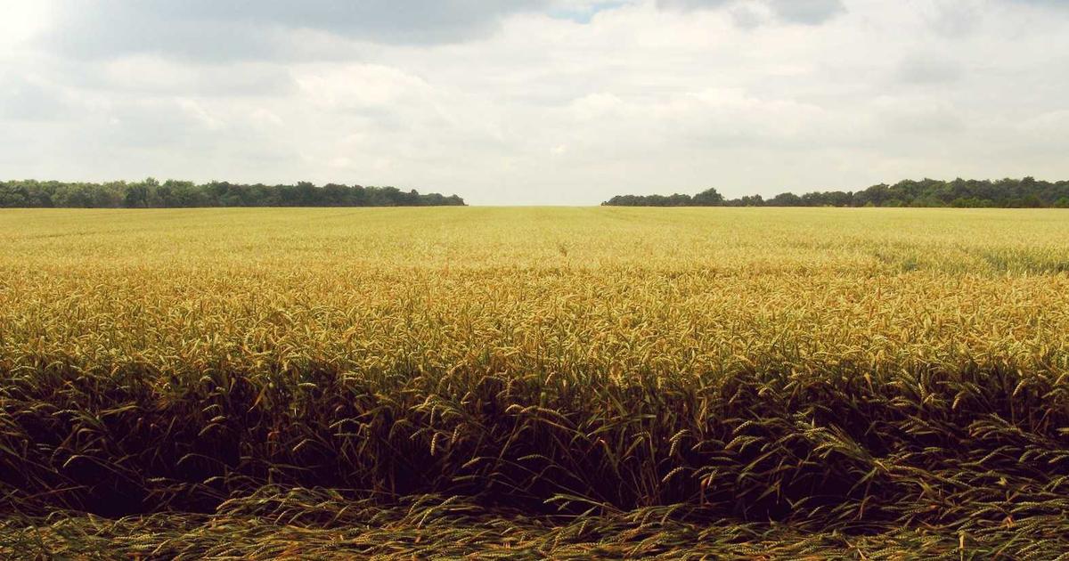 Cập nhật xu hướng lãi suất vay vốn doanh nghiệp năm 2024 tại Sterling Bank