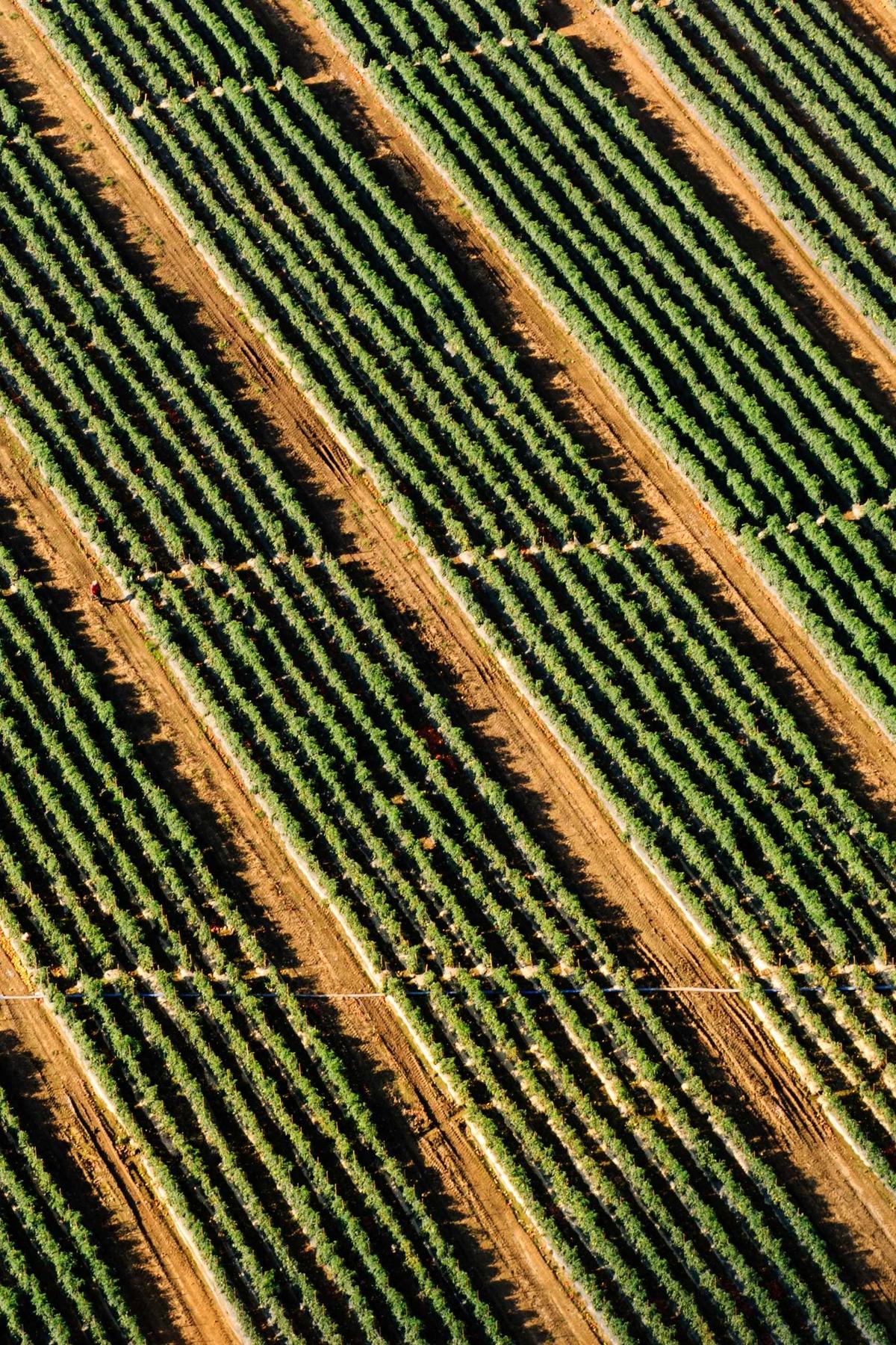 Extreme Close-up of Synthetic Silk Architecture