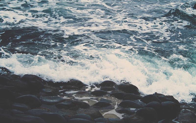 Chậu cây từ chai nhựa tái chế