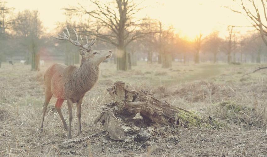 Không gian ẩm thực ngoài trời 2026