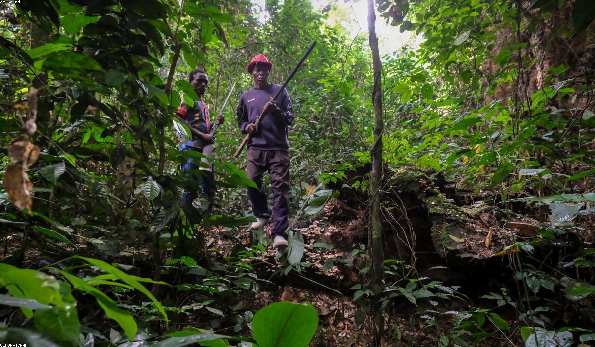 Gà thả đồi Rustic Farm Table