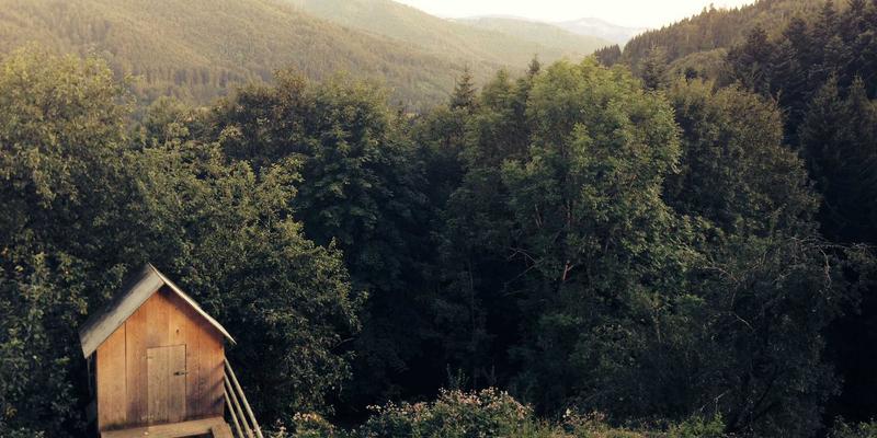 Hạnh phúc của gia đình tại Genesis