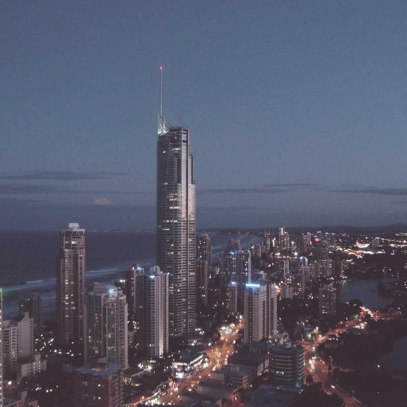 Cận cảnh hạt gỗ sồi 2026