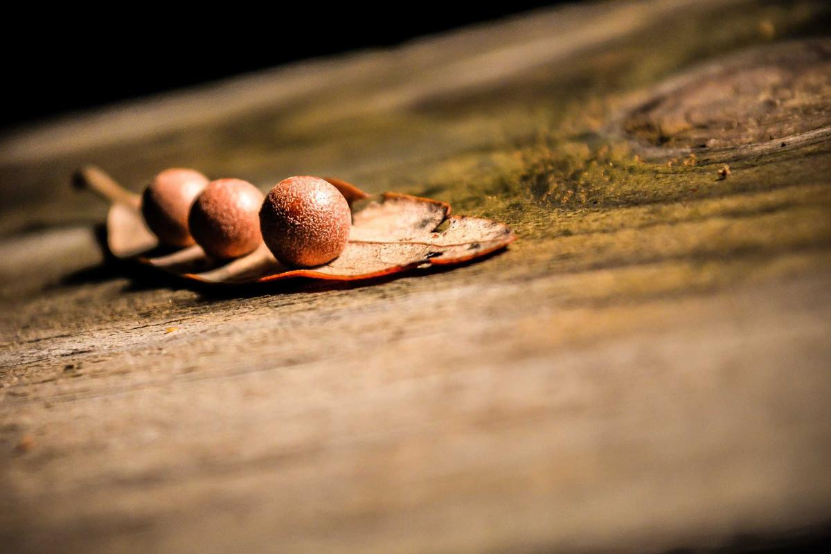 Eco-tech 2026 Future